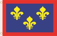 Fahne Anjou Provinz 90 x 150 cm 