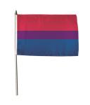 Stockflagge Bi Pride 30 x 45 cm 