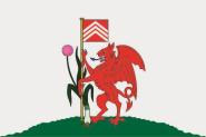 Flagge Cardiff 