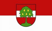 Flagge Dornbirn 