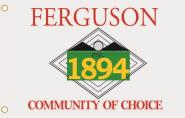 Fahne Ferguson City (Missouri) 90 x 150 cm 