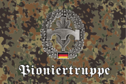 Flagge Flecktarn Bundeswehr Pioniertruppe 