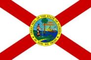 Flagge Florida 20 x 30 cm 
