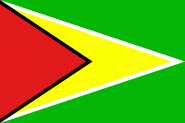 Flagge Guyana 