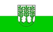 Flagge Hoyerswerda 
