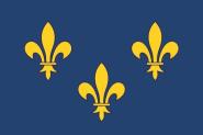 Flagge Ille de France Fleur de Lys 