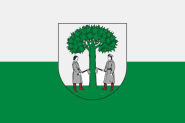 Flagge Jaworzno (Polen) 