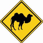 Aufkleber Vorsicht / Achtung Kamel 