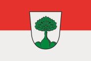 Flagge Neu Bamberg 