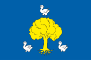 Flagge Niederhausbergen (Frankreich) 