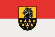 Flagge Niedernsill (Salzburg) 