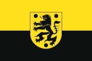 Flagge Oelsnitz (Vogtland) 