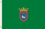 Fahne Pamplona 90 x 150 cm 