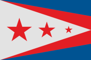 Flagge Union City (Kentucky) 