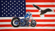 Fahne USA mit Adler 90 x 150 cm 