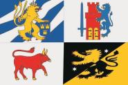 Flagge Västra Götalands län 