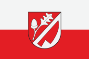 Flagge Zerbst Ortsteil Reuden 