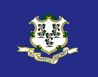 Miniflag Connecticut 10 x 15 cm 