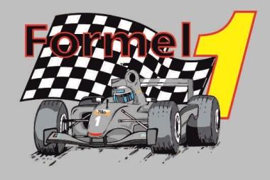 Aufkleber Formel 1 grau 