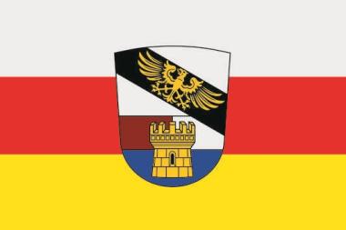 Flagge Syrgenstein 