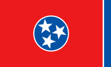 Miniflag Tennessee 10 x 15 cm 