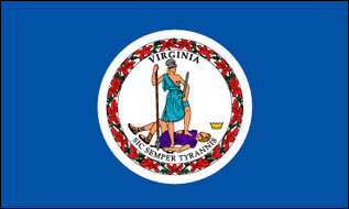 Miniflag Virginia 10 x 15 cm 