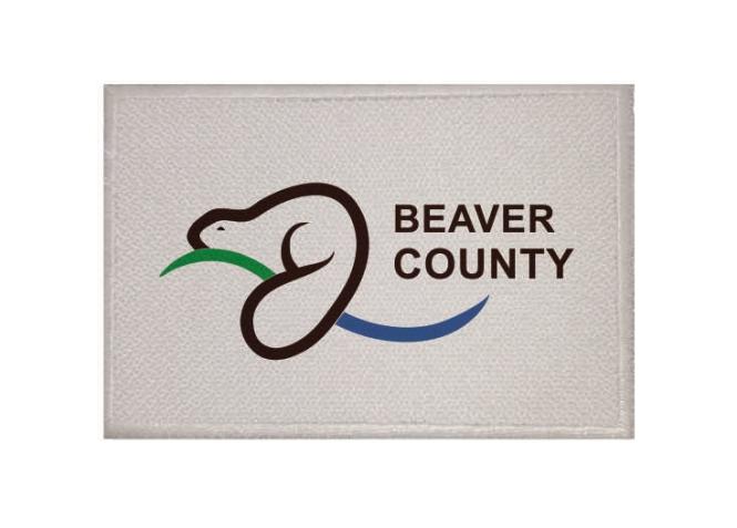 Aufnäher Beaver County (Alberta,Kanada) Patch  9x 6   cm 