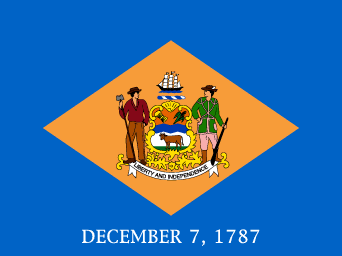 Miniflag Delaware 10 x 15 cm 