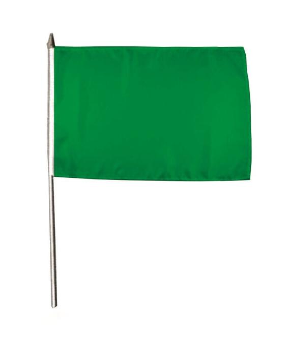 Stockflagge Grün 30 x 45 cm 