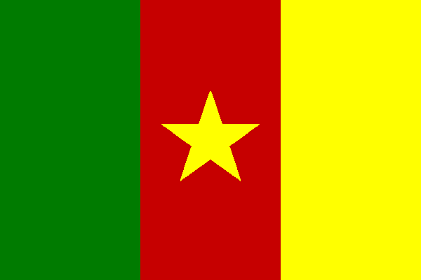 Miniflag Kamerun 10 x 15 cm 