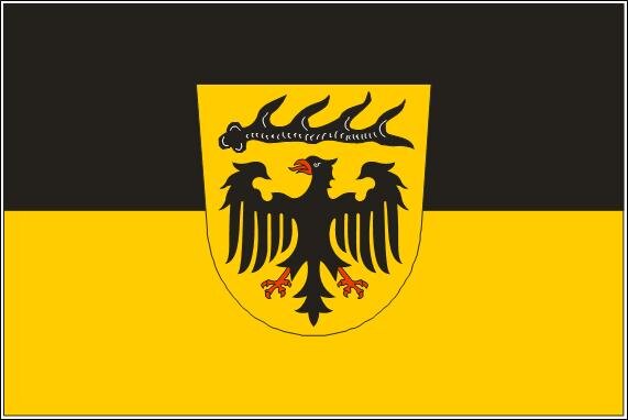 Fahne Landkreis Ludwigsburg 90 x 150 cm 