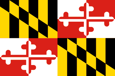 Miniflag Maryland 10 x 15 cm 