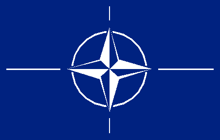 Fahne Nato 90 x 150 cm 
