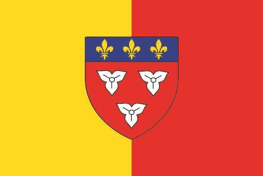 Flagge Orleans 