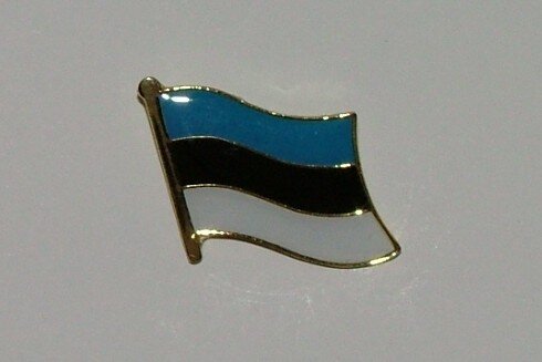 Pin Estland 20 x 17 mm 