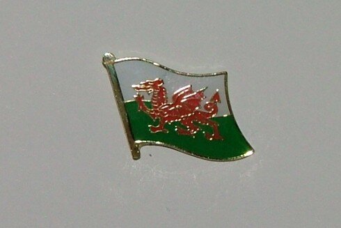 Pin Wales 20 x 17 mm 
