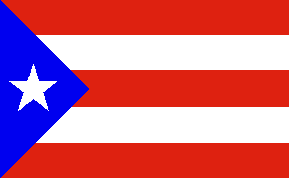 Miniflag Puerto Rico 10 x 15 cm 