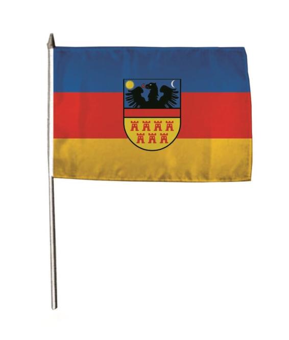 Stockflagge Fahne Flagge Siebenbürgen Rümänien 30 x 45 cm