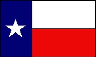Miniflag Texas 10 x 15 cm 