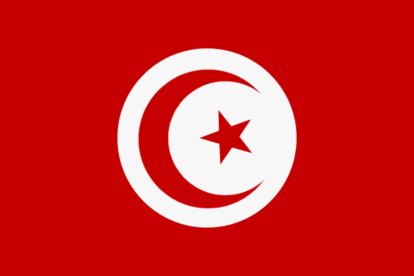 Miniflag Tunesien 10 x 15 cm 