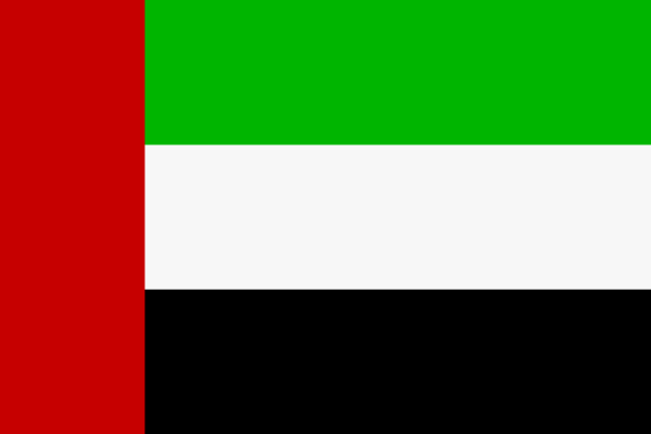Miniflag Vereinigte Arabische Emirate 10 x 15 cm 