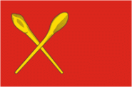 Flagge Aleksin 