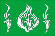 Flagge Belousovo 
