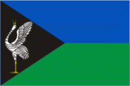 Flagge Borzya 