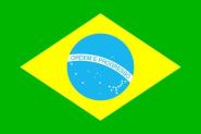 Flagge Brasilien 30 x 44 cm 