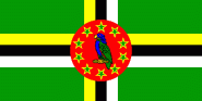 Fahne Dominica 30 x 45 cm 