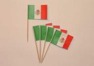 Flaggen Zahnstocher Mexiko VE=50 