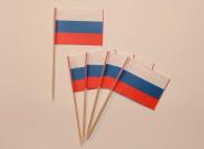 Flaggen Zahnstocher Russland VE=50 
