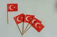 Flaggen Zahnstocher Türkei VE=50 