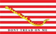 Flagge First Navy Jack 20 x 30 cm 